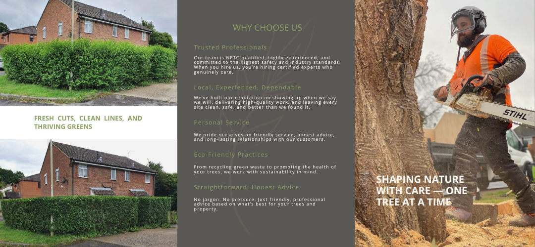 About Us – T&L Tree Management Ltd