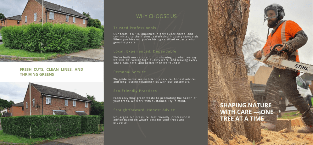 T and L Tree Management Ltd - Why Choose Us